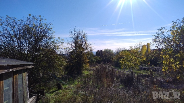 Къща в с.Дъбово, снимка 6 - Къщи - 52257026
