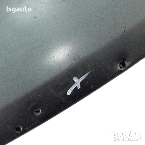 Лайсна над предна броня Renault Scenic II 2004-2009 ID: 123031, снимка 4 - Части - 44758985