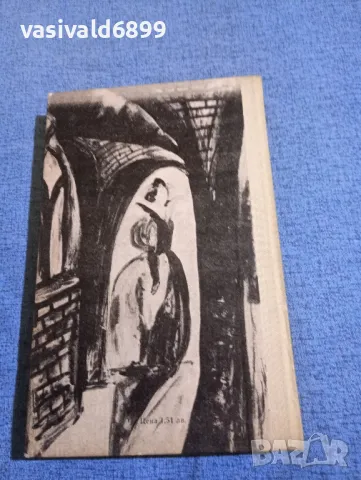 Юзеф Крашевски - Графиня Козел , снимка 3 - Художествена литература - 50342655