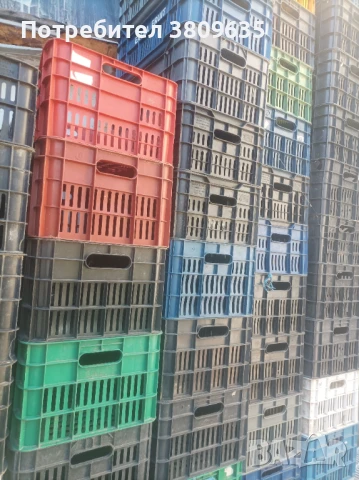 Каси за грозде