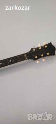 Електрическа китара Orfeus, снимка 4 - Китари - 54342603