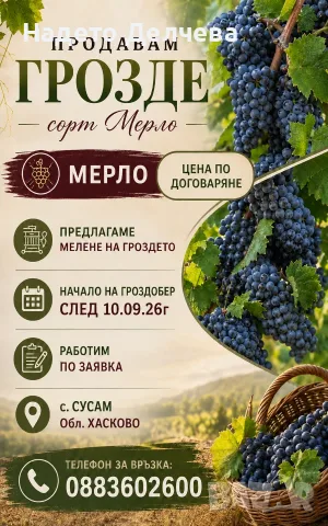 Продавам Грозде сорт Мерло 