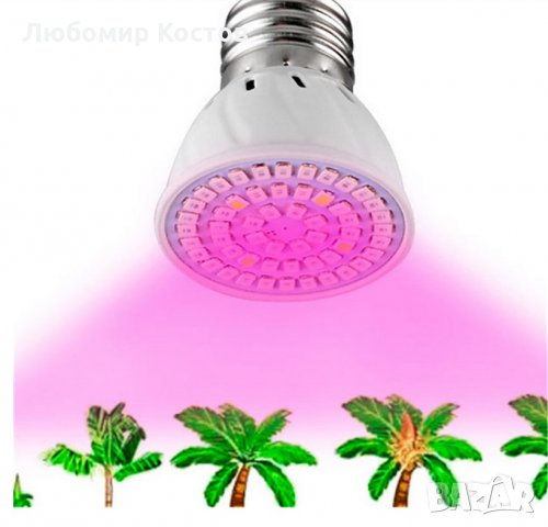 Пълноспектърна   фитолампа за стимулиране на растенията, снимка 2 - Стайни растения - 30672821