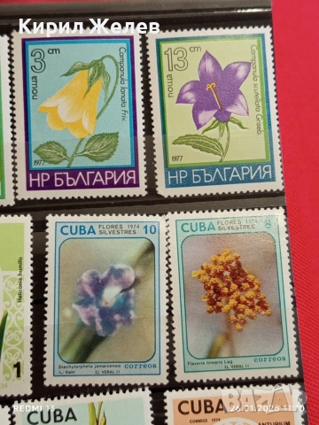 Стари пощенски марки от цял свят смесени ЦВЕТЯ без печат за КОЛЕКЦИЯ 52074, снимка 6 - Филателия - 53228641