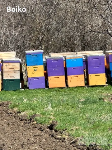 пчелни кошери