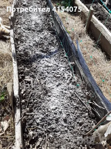 каменно брашно