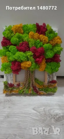 Дървото на живота със скандинавски мъх в рамка, снимка 4 - Пана - 48288866