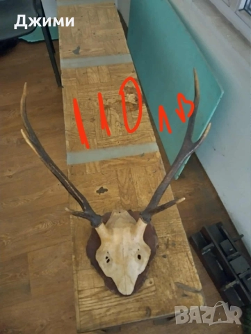 различни симетрични трофеи, снимка 14 - Антикварни и старинни предмети - 47085516