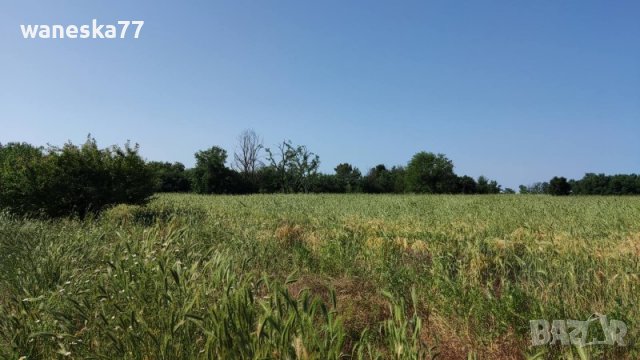 Парцел УПИ, с. Бяло поле, общ. Опан, обл. Стара Загора , снимка 3 - Парцели - 39527875