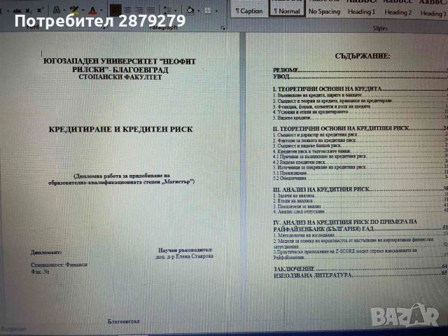 Дипломна работа Кредитиране и кредитен риск