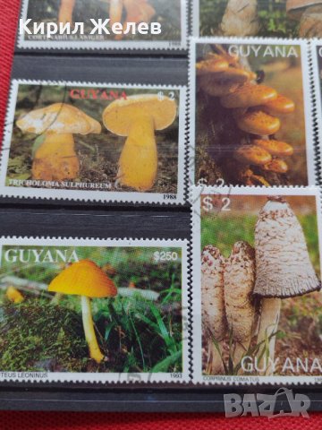 Пощенски марки чиста комплектна серия Гъби стари редки за колекция декорация - 22047, снимка 2 - Филателия - 36642280
