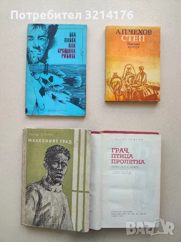 Грач, птица пролетна - Сергей Мстиславски, снимка 2 - Художествена литература - 55988786