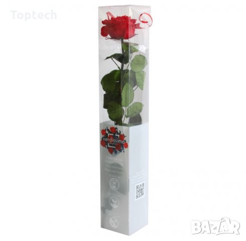 Луксозна вечна роза в опаковка BEAUTY & THE BEAST, снимка 3 - Романтични подаръци - 31691278