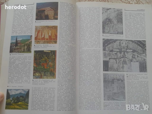 Енциклопедия на изобразителните изкуства в България. Том 1: А-Л, снимка 7 - Художествена литература - 51766299