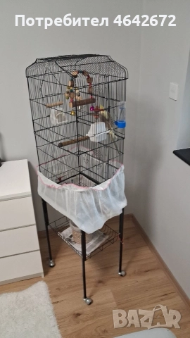 ОБЕЩАН!!! Корела с оборудвана клетка със стойка, снимка 8 - Папагали - 52809444