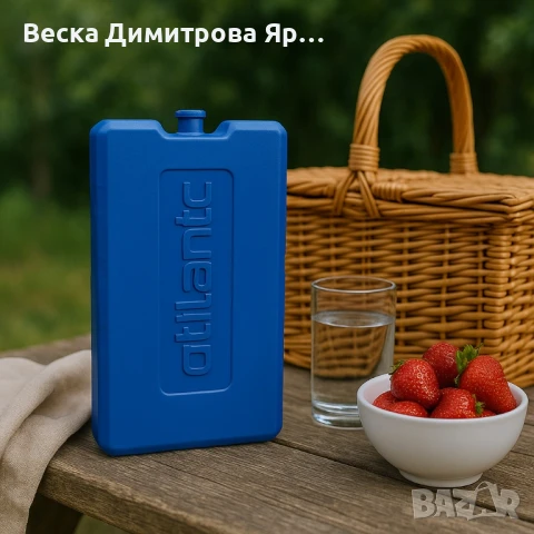 Охладител за хладилна кутия Atlantic 400gr, снимка 2 - Други стоки за дома - 50634836