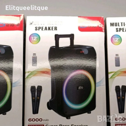 Преносима караоке тонколона Sing-e ZQS12148 (12") с мощен бас