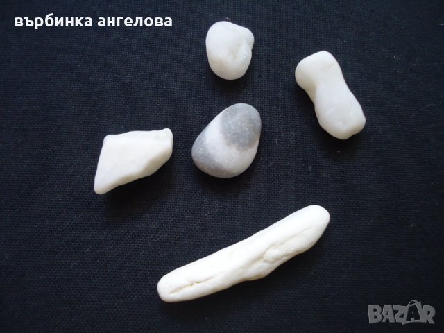 Мидени черупки и камъчета от Егейско море за вашата колекция, снимка 3 - Колекции - 34166712
