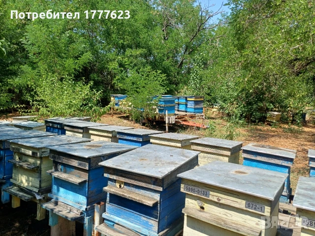 Сандъци за кошери, снимка 5 - За пчели - 51412024