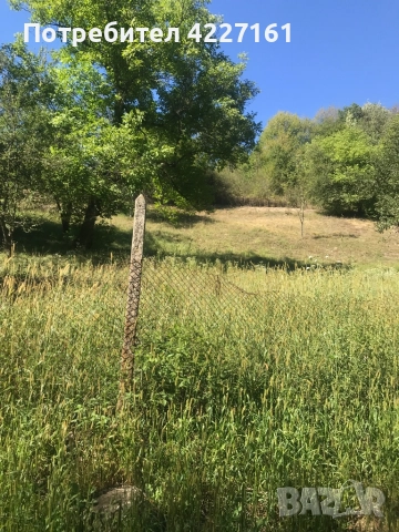 Селска къща, снимка 8 - Къщи - 51512118