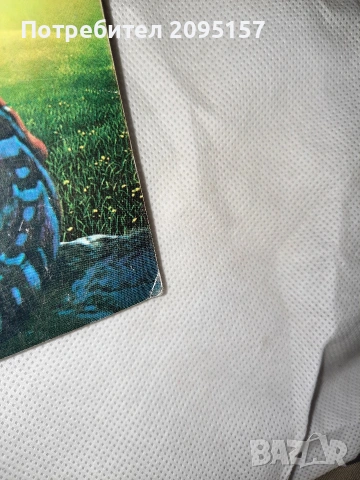 Сечението на Анщайн Самюъл Дилейни, снимка 3 - Художествена литература - 54037331