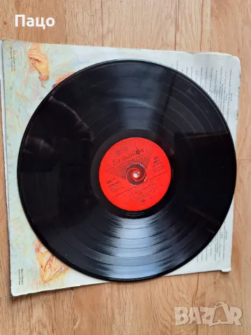 Лили Иванова Щурче, снимка 5 - Грамофонни плочи - 49440922