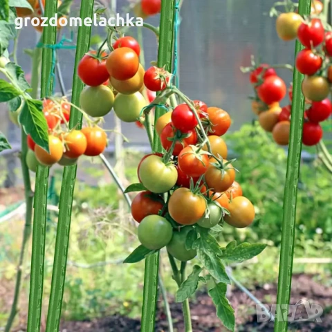 Метални колове за домати Ф20/210 см PVC покритие | Отстъпки | Вносител, снимка 5 - Градински инструменти - 53984843