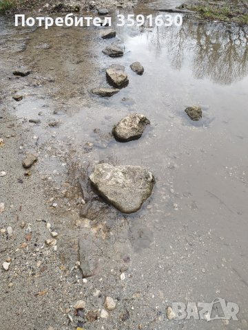 Парцел 8500м2  с.Осеново , снимка 7 - Парцели - 39112513