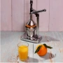 Цитрус преса – ръчна, снимка 2