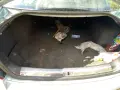 Vokswagen Passat b5.5, снимка 5