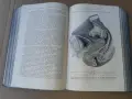 Стар учебник ГИНЕКОЛОГИЯ 1913 г - 802 страници. РЯДЪК !!!, снимка 6