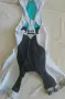 Чисто нови гащета ASSOS FL.13 LADY_S5, снимка 1