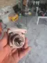 Makita ъглошлайф , снимка 13