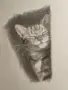 рисунки с моливи, снимка 8