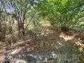 с. Драганово, Обл. Добрич, парцел с кладенец - 25500евро!, снимка 3