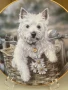 Колекционерска чиния от серия “Westies”., снимка 2