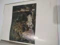 Албум  с репродукции на художника Клод Моне, снимка 3