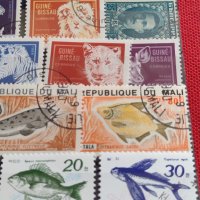 Пощенски марки смесени серий от цял свят ЖИВОТНИ много красиви за КОЛЕКЦИЯ 22585, снимка 5 - Филателия - 40444576