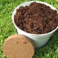 Почвена смес за РАЙГРАС, трева, чимове. Тор рохкава смес, богата на полезни микроелементи. , снимка 3 - Тор и почвени смеси - 42132445