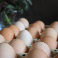 Домашни Яйца 15лв кора, снимка 9 - други­ - 36397255