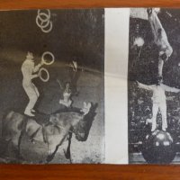 Стара програма за цирк, снимка 2 - Други ценни предмети - 44457719