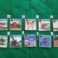 Record of Gines cards/ Карти от кроасаните чипикао-Рекордитe на Гинес, снимка 7 - Колекции - 44811370