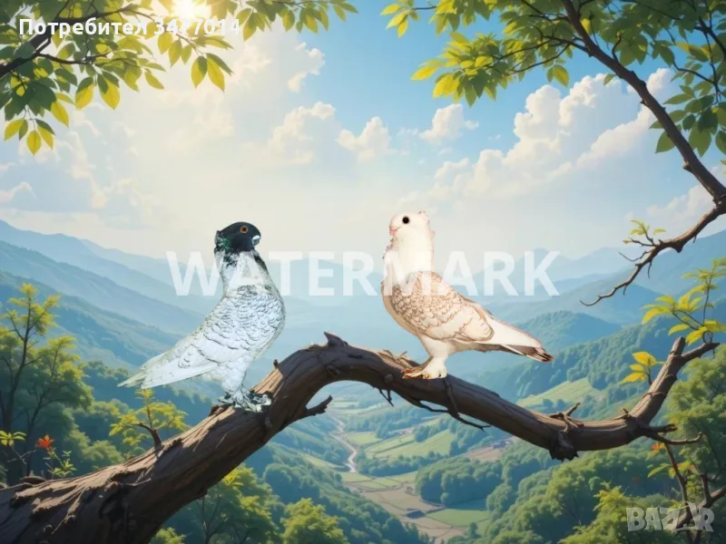 Картина с две гълъбчета, природа, снимка 1