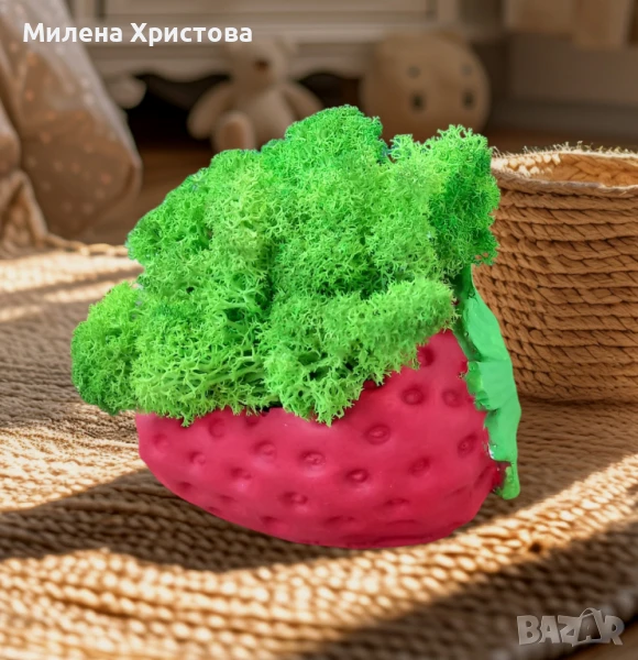 Кашпа със скандинавски мъх , снимка 1