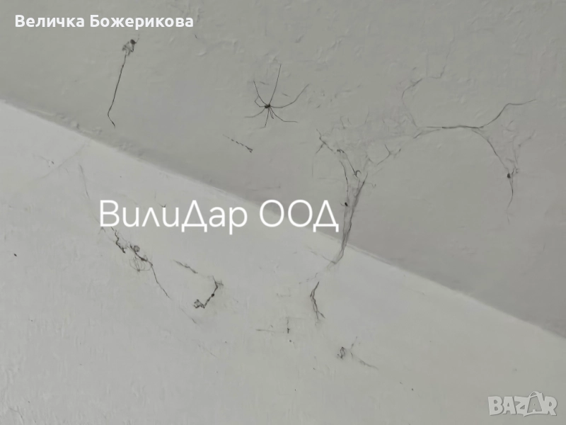 Почистване на входове , снимка 1