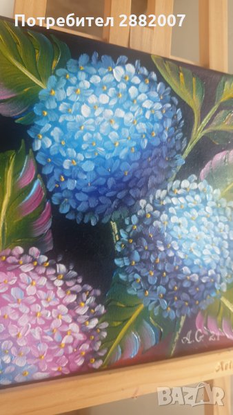 Картина "Хортензия" - маслени бои , снимка 1