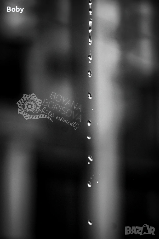 Принт за стена "Воден микрокосмос", снимка 1