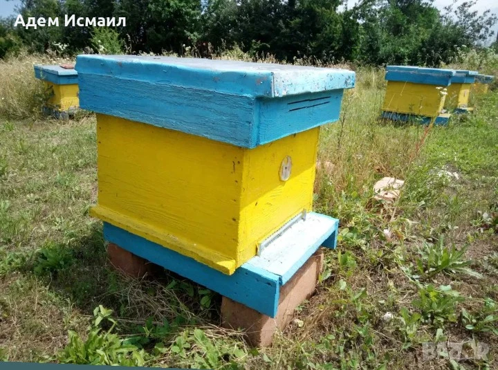 Пчелни кошери с електрическа центрофуга, снимка 1