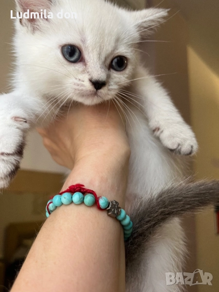 Ще продам, снимка 1