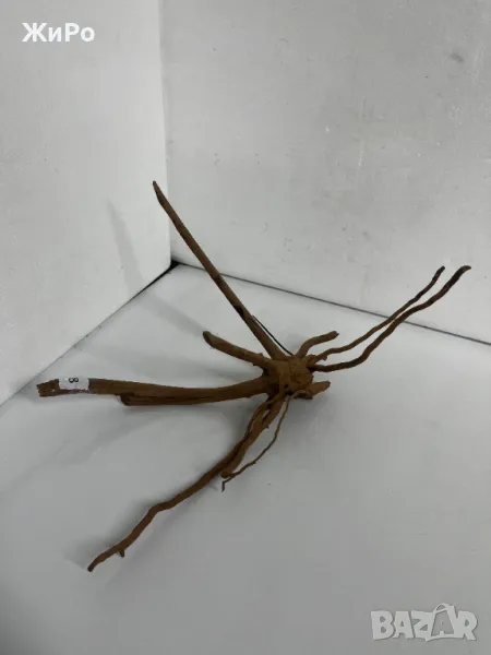 Корен от Азалия /декорация/ 8, снимка 1